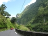 IMG_1267.jpg