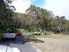P1010542.jpg